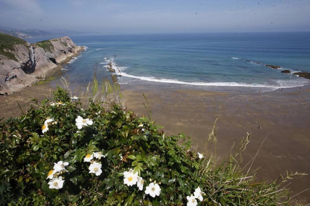 Apartmán 2 Habit, Sala, Terraza, Jardin, Parking Gratis Zumaia Exteriér fotografie
